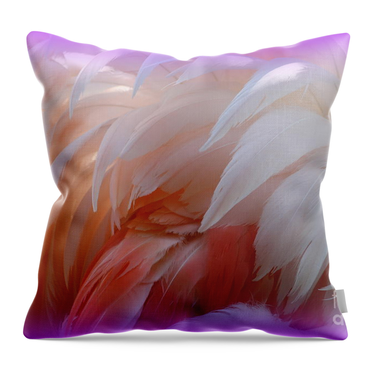 Flamingo Throw Pillow featuring the photograph Flamingo Feathers by Rick Rauzi