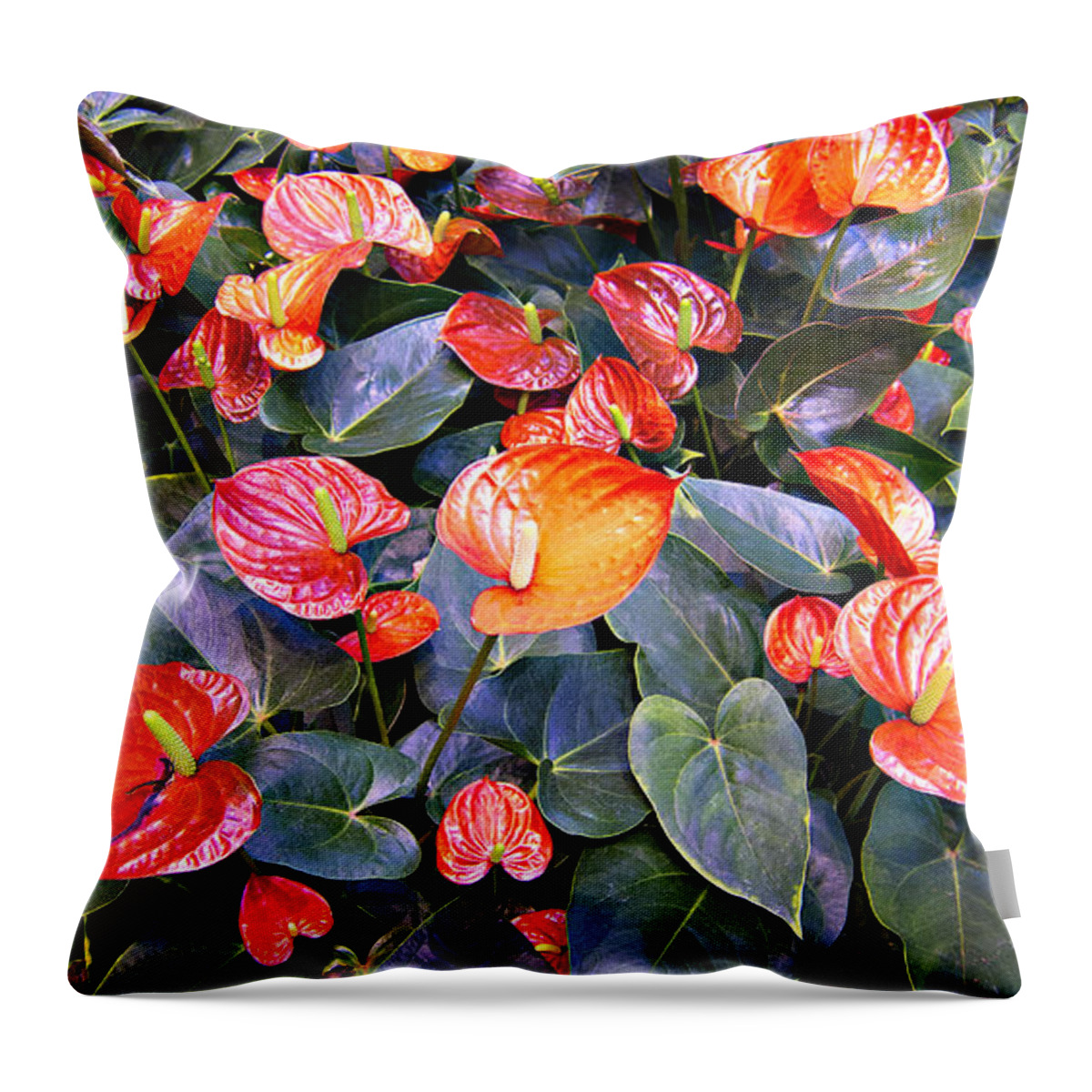 Flamingo Flower Bed Throw Pillow featuring the photograph Flamingo Flower Bed by Douglas Barnard
