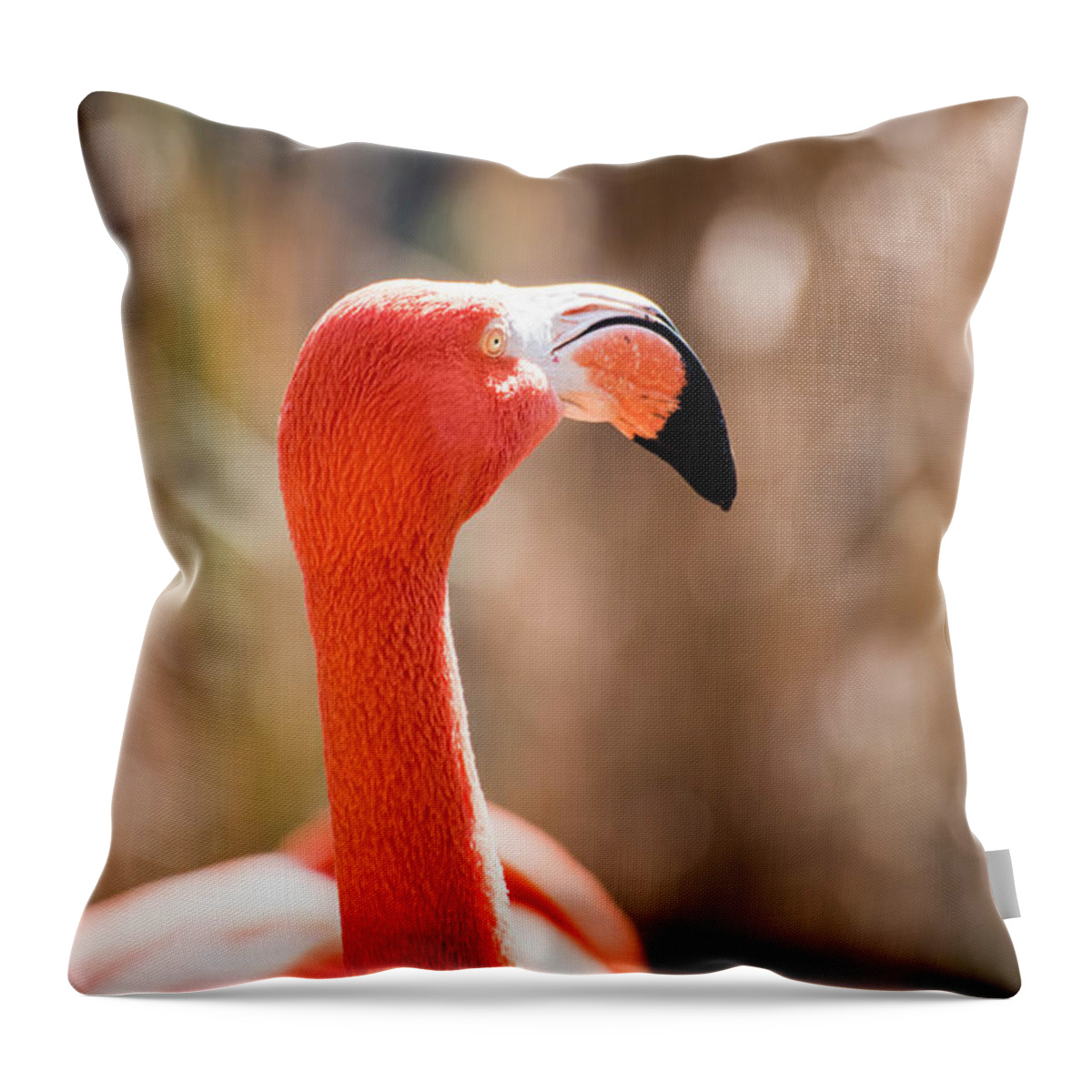 Birds Throw Pillow featuring the photograph American Flamingo 2 by Wendy Carrington