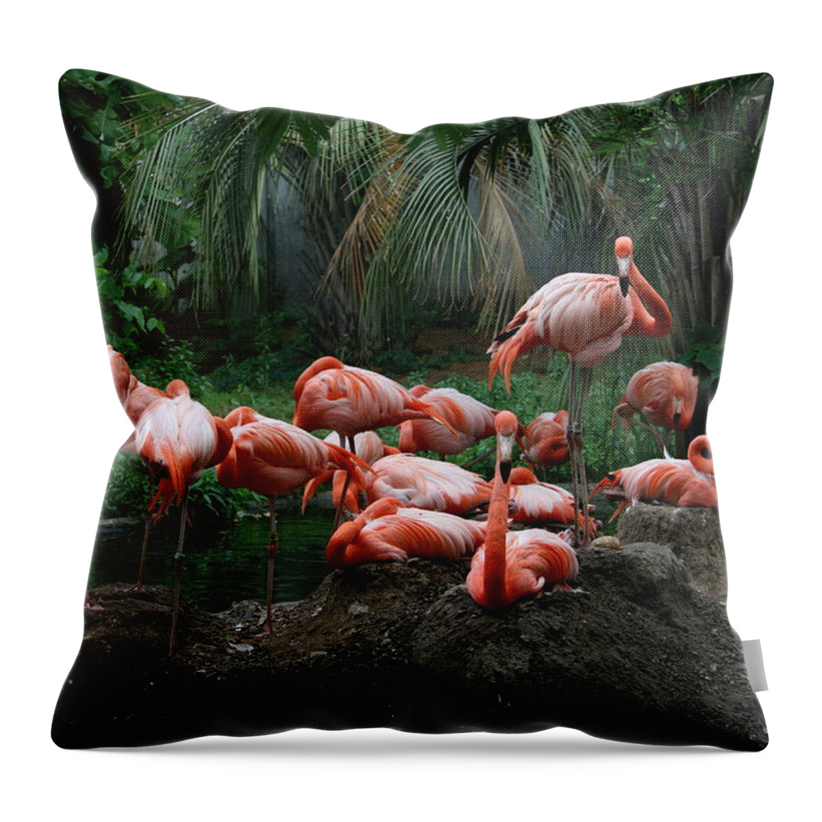 Orange Throw Pillow featuring the photograph Flamingos by Cathy Harper