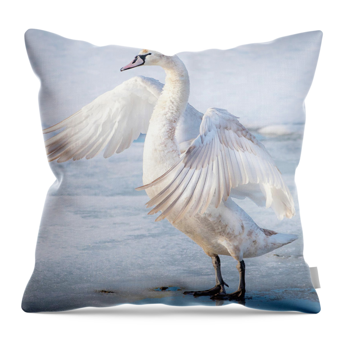 Swan Throw Pillow featuring the photograph Flappin... by Ian Sempowski