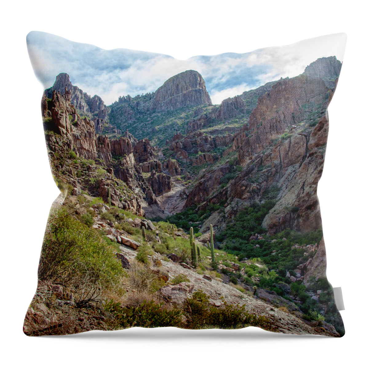 Arizona Throw Pillow featuring the photograph Flat Iron by Sandra Parlow