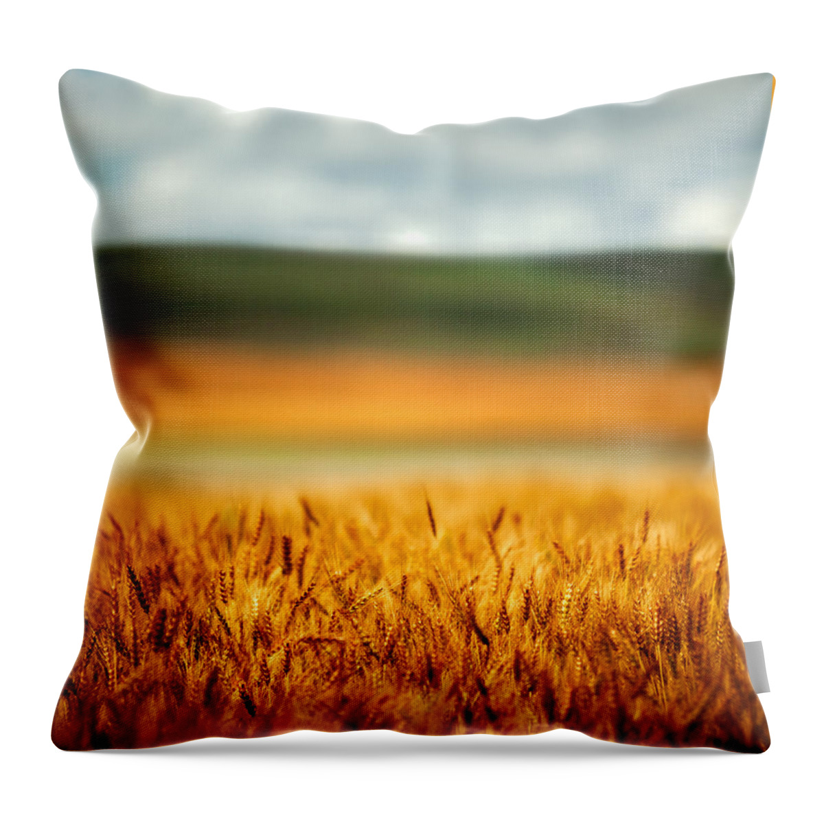 Wheat Throw Pillow featuring the photograph Flaxen Layers by Todd Klassy