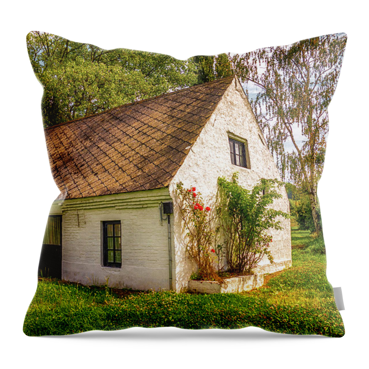 Cottage Throw Pillow featuring the photograph Flemish Cottage by Wim Lanclus