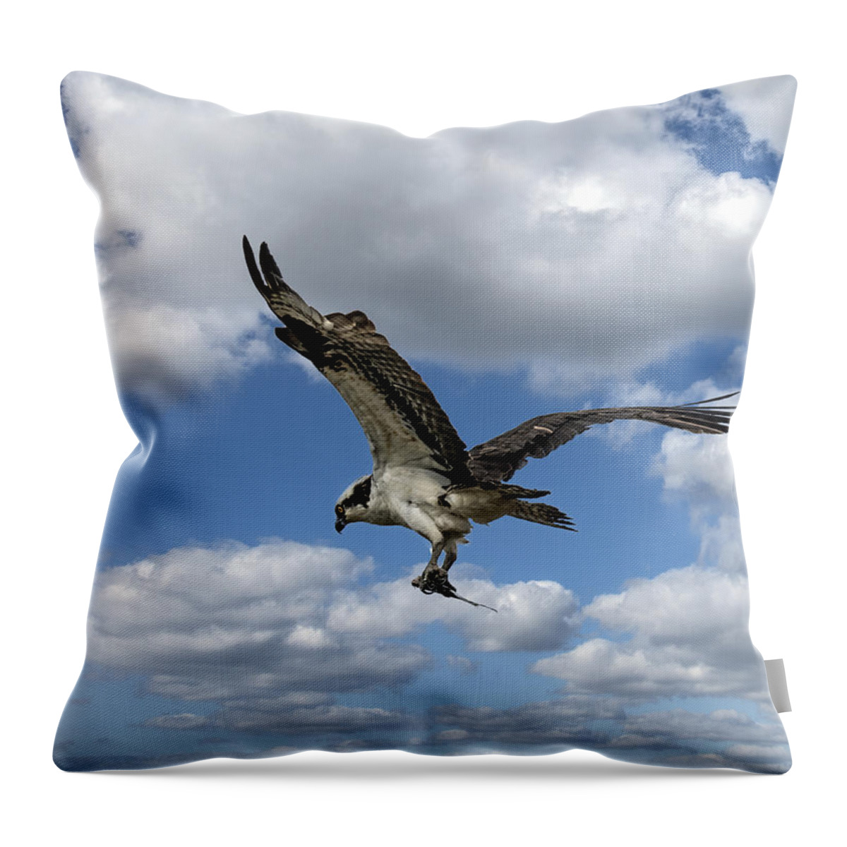 Bird Throw Pillow featuring the photograph Flight Among The Clouds by William Bitman