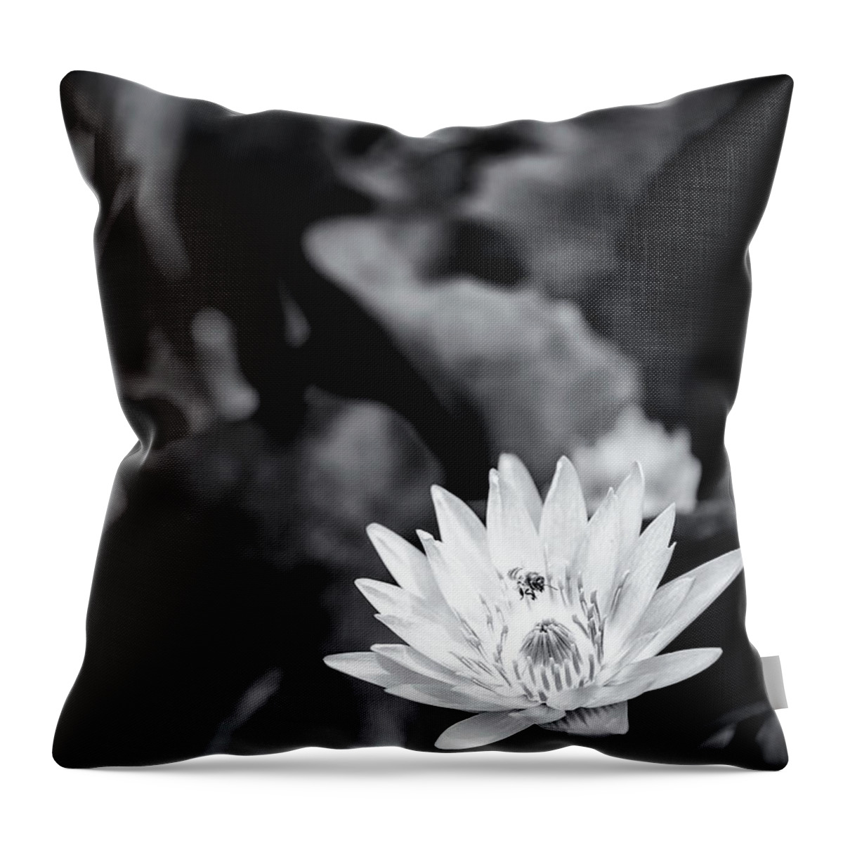 Art Throw Pillow featuring the photograph Flight of the Bee by Jon Glaser