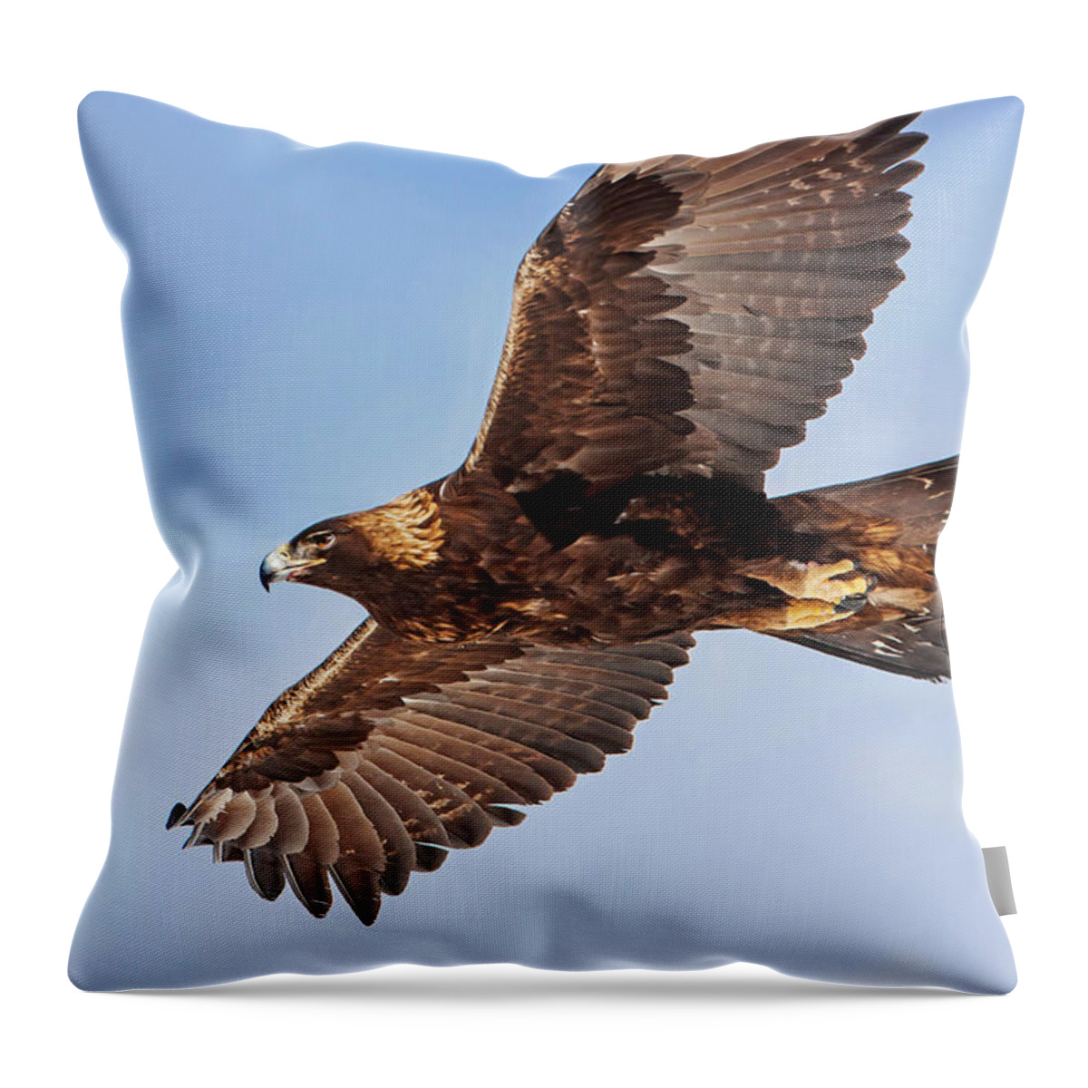 Golden Eagle Throw Pillow featuring the photograph Flight of the Golden Eagle by Mark Miller