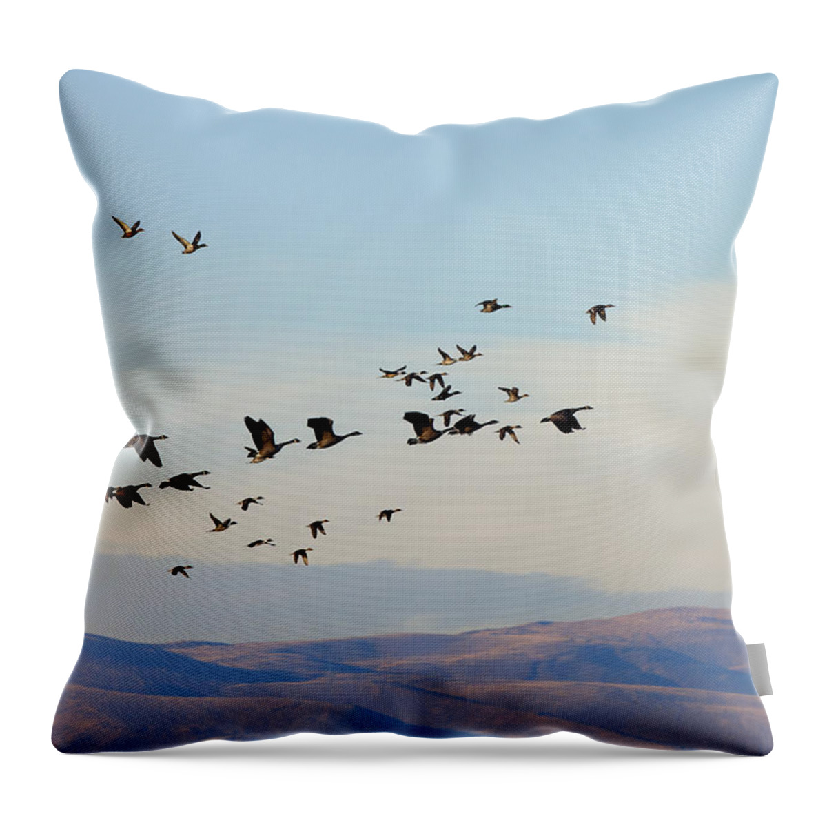 Waterfowl Throw Pillow featuring the photograph Flight of the Waterfowl by Michael Dawson
