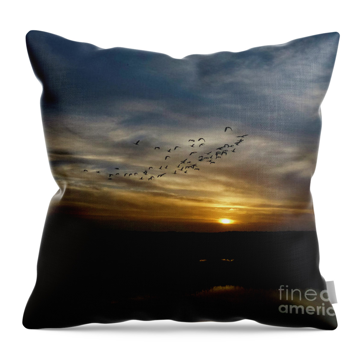 Iron Head Wood Stork Throw Pillow featuring the photograph Flight Of The Woodstorks by Teresa A and Preston S Cole Photography