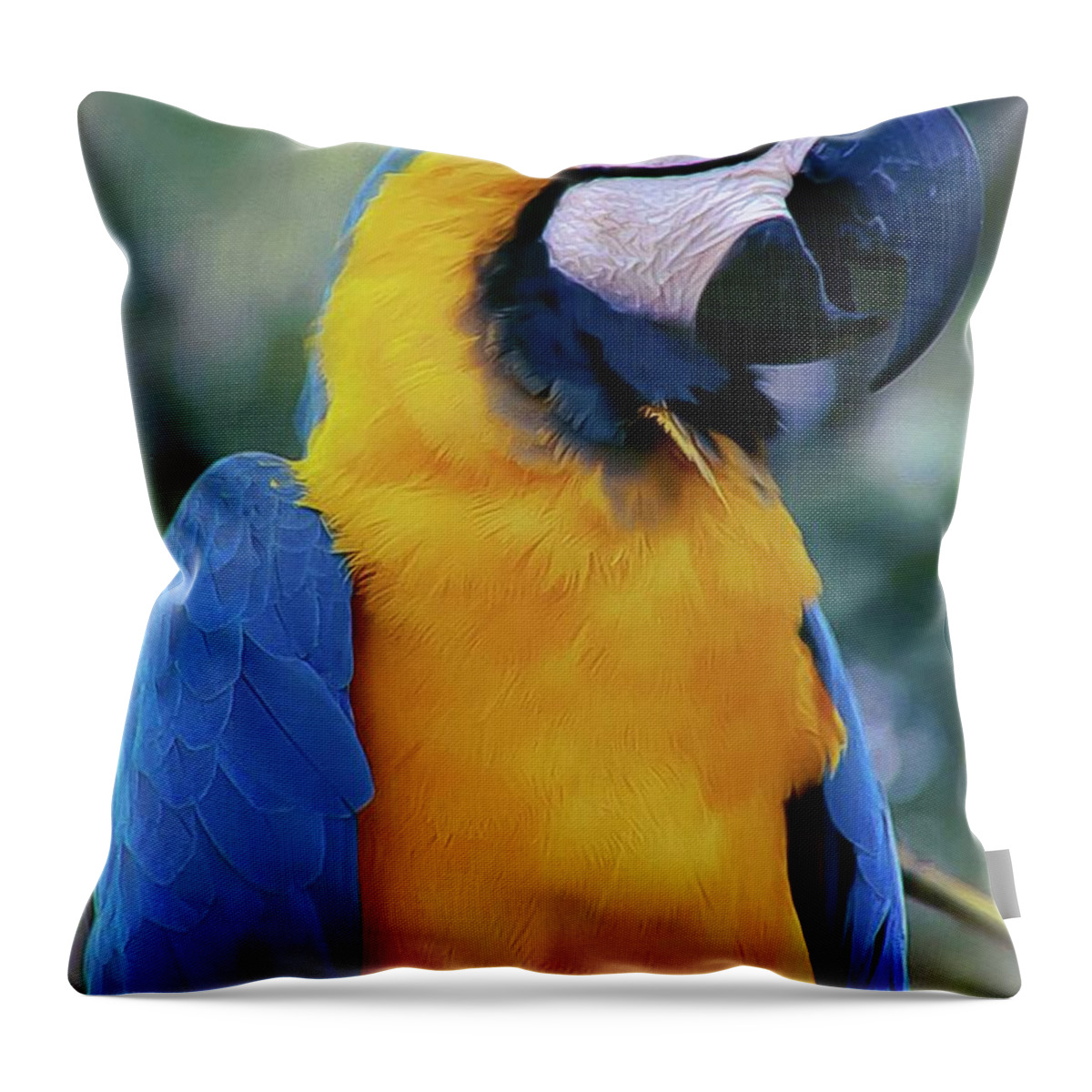 Macaw Throw Pillow featuring the photograph Flirtacious Macaw by DigiArt Diaries by Vicky B Fuller