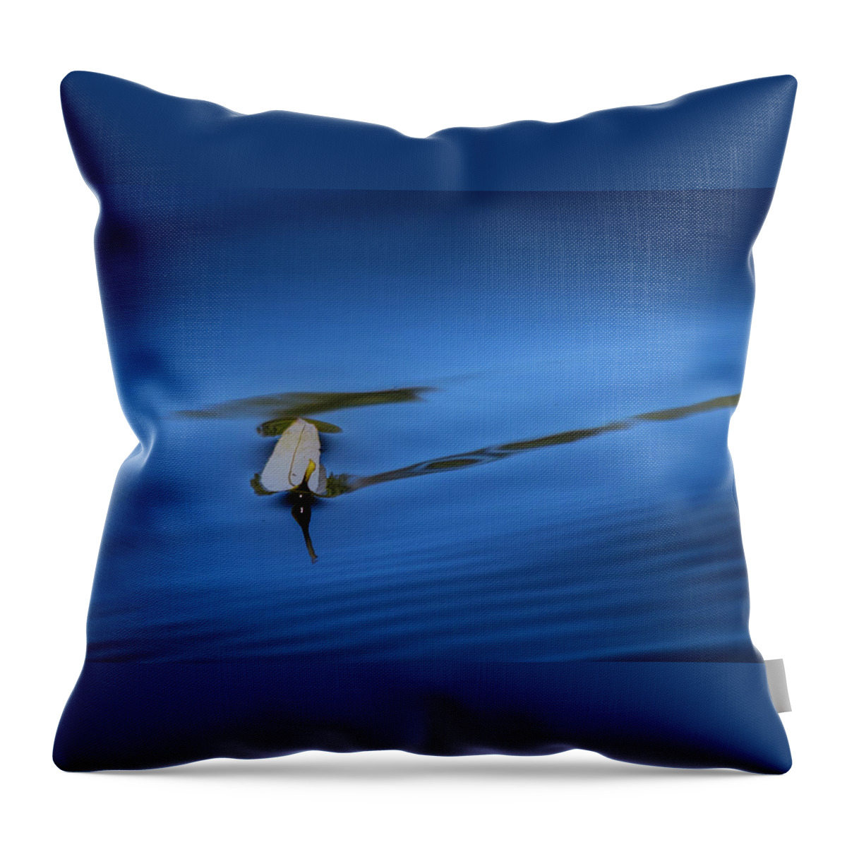 Fall Throw Pillow featuring the photograph Floating by Allin Sorenson