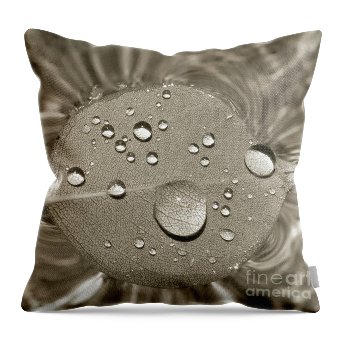 Wall Art Throw Pillow featuring the photograph Floating Droplets by Kelly Holm