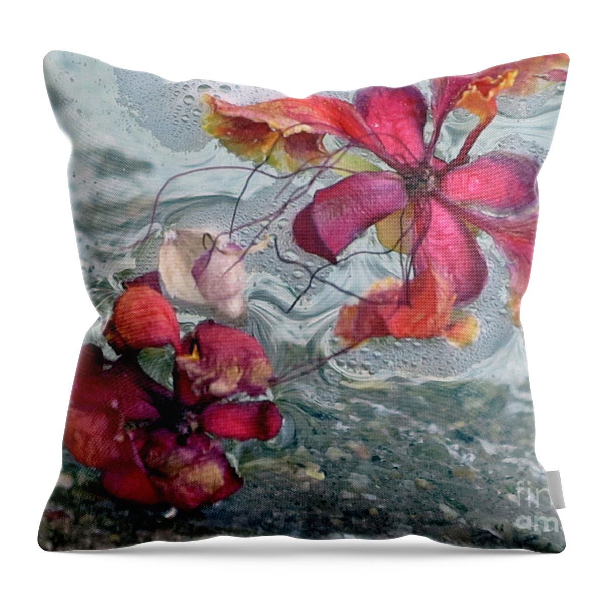 Water Throw Pillow featuring the photograph Floating Flowers by Hazel Vaughn
