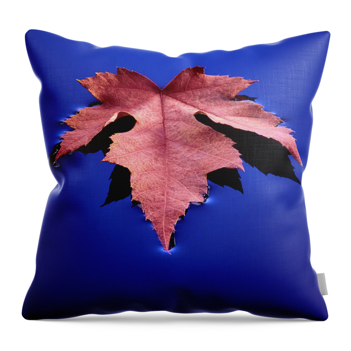 Floating Throw Pillow featuring the photograph Floating Leaf 2 - Maple by Dean Birinyi