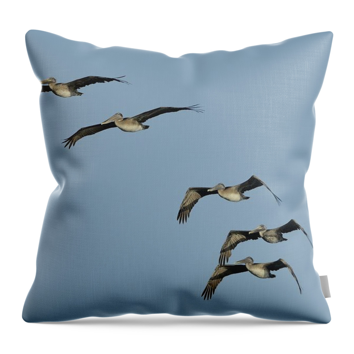 Pelican Throw Pillow featuring the photograph Flock of 5 Pelicans by Bradford Martin
