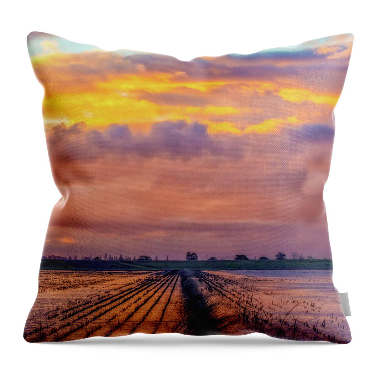 Landscape Throw Pillow featuring the photograph Flooded Field at Sunset by Marc Crumpler