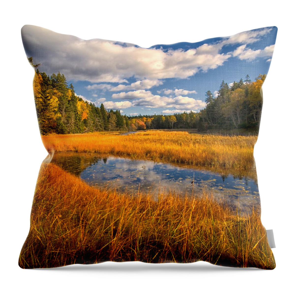 Raven Head Wilderness Throw Pillow featuring the photograph Floodplane Autumn by Irwin Barrett