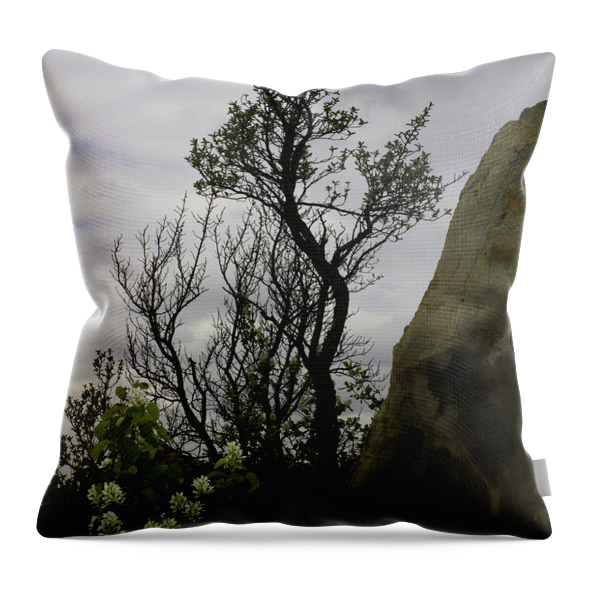 New Florals Throw Pillow featuring the photograph Flora and Tree by Donna L Munro