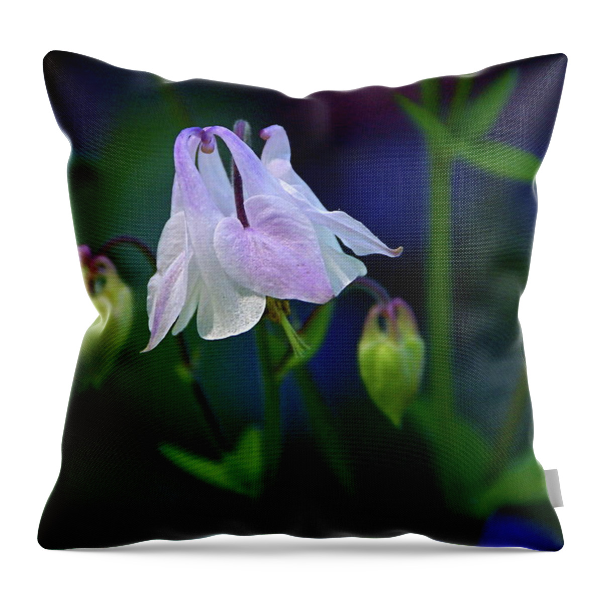 Columbine Throw Pillow featuring the photograph Floral Birds by Byron Varvarigos