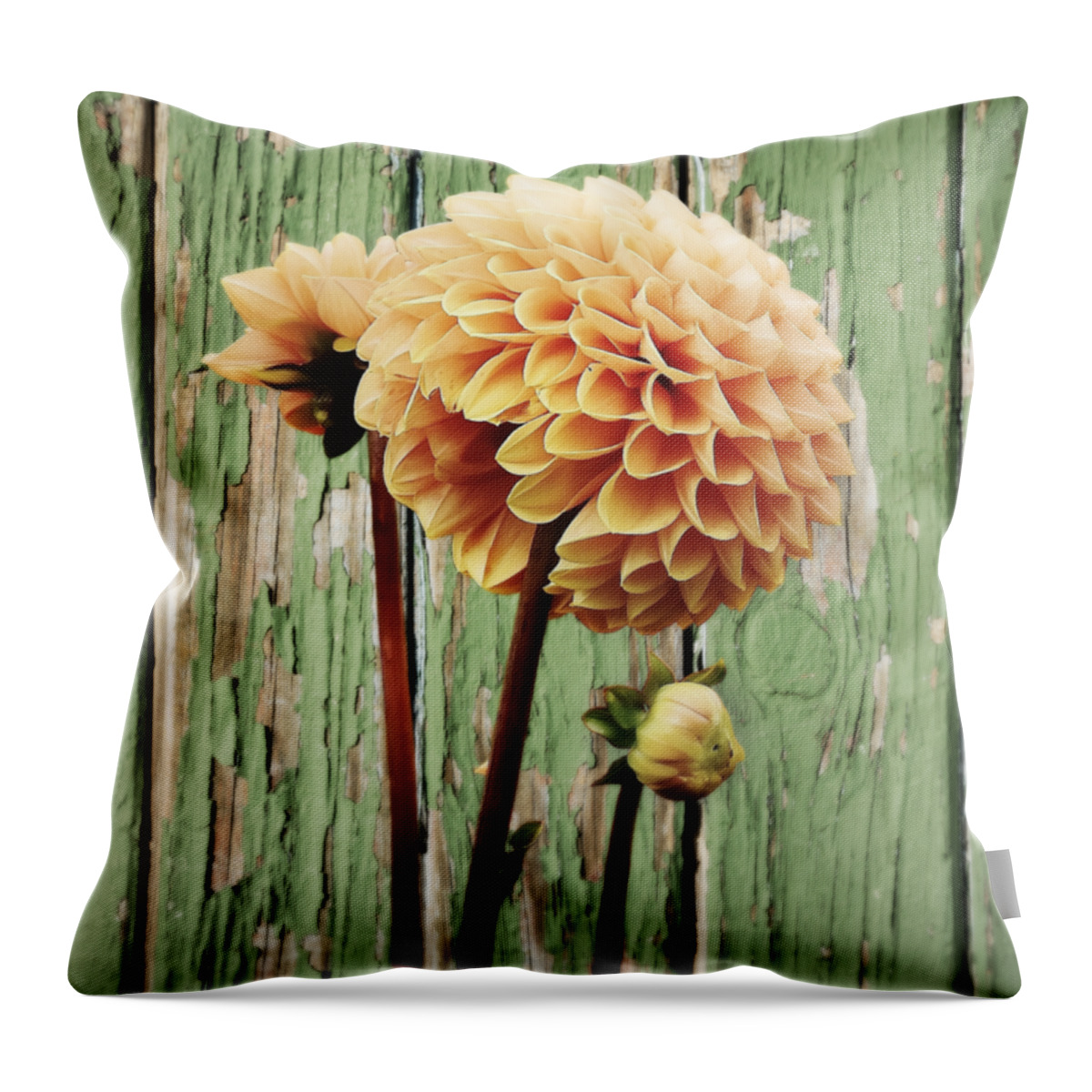 Flower Throw Pillow featuring the photograph Floral Delight by Ally White