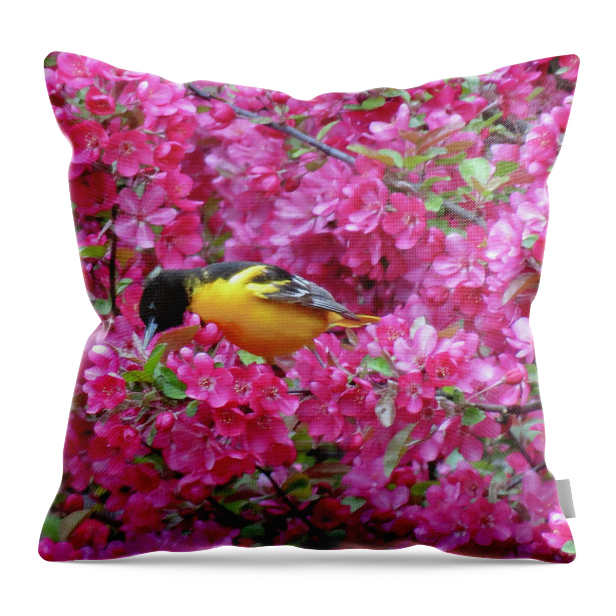 Oriole Throw Pillow featuring the photograph Floral Oriole 4 by MTBobbins Photography