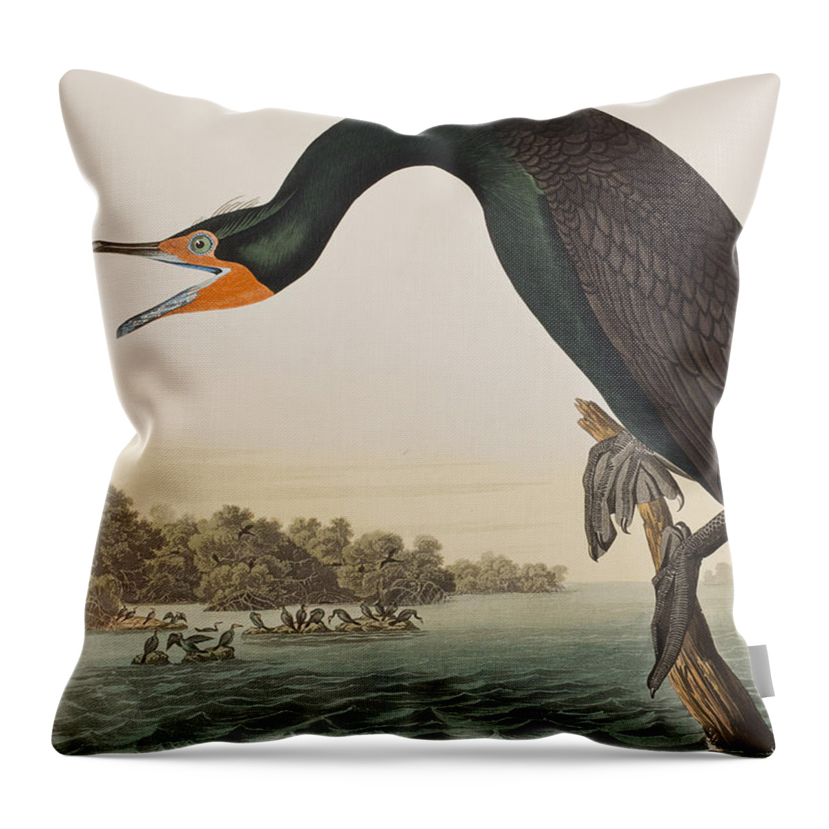 Florida Cormorant Throw Pillow featuring the painting Florida Cormorant by John James Audubon