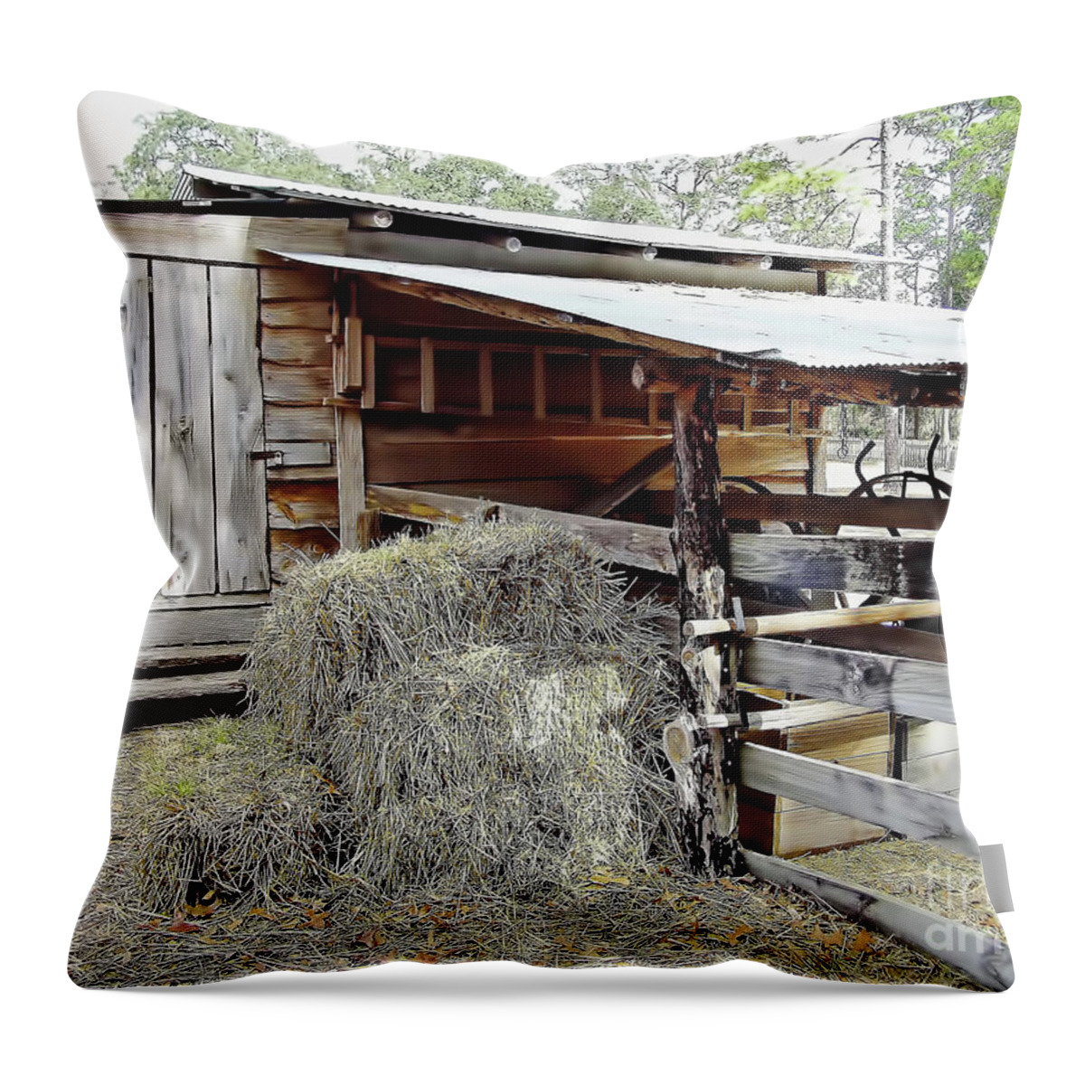 Barn Throw Pillow featuring the photograph Florida Cracker Barn by D Hackett