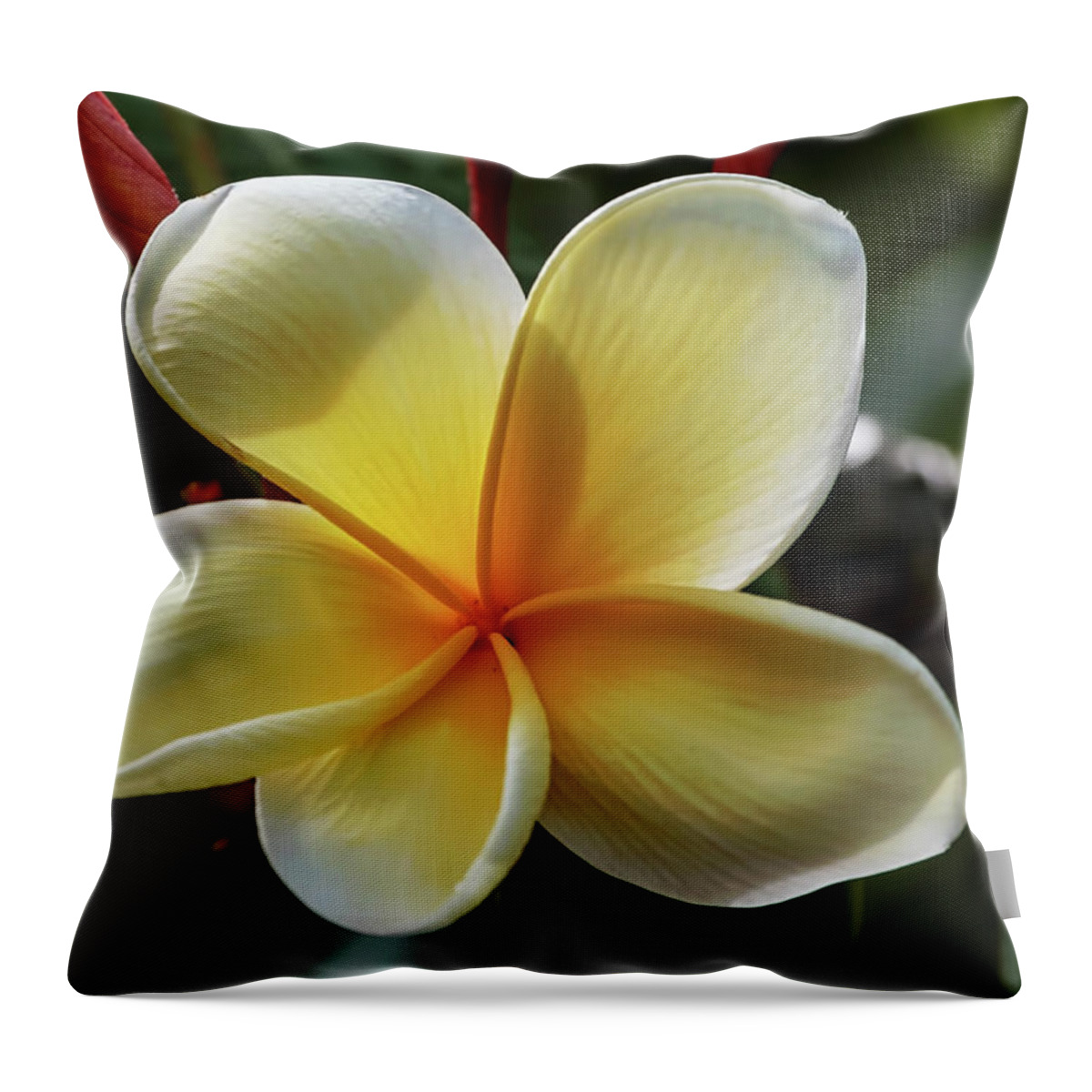 Florida Throw Pillow featuring the photograph Florida Flowers - Edison and Ford Gardens - Frangipani Plumeria Up Close by Ronald Reid