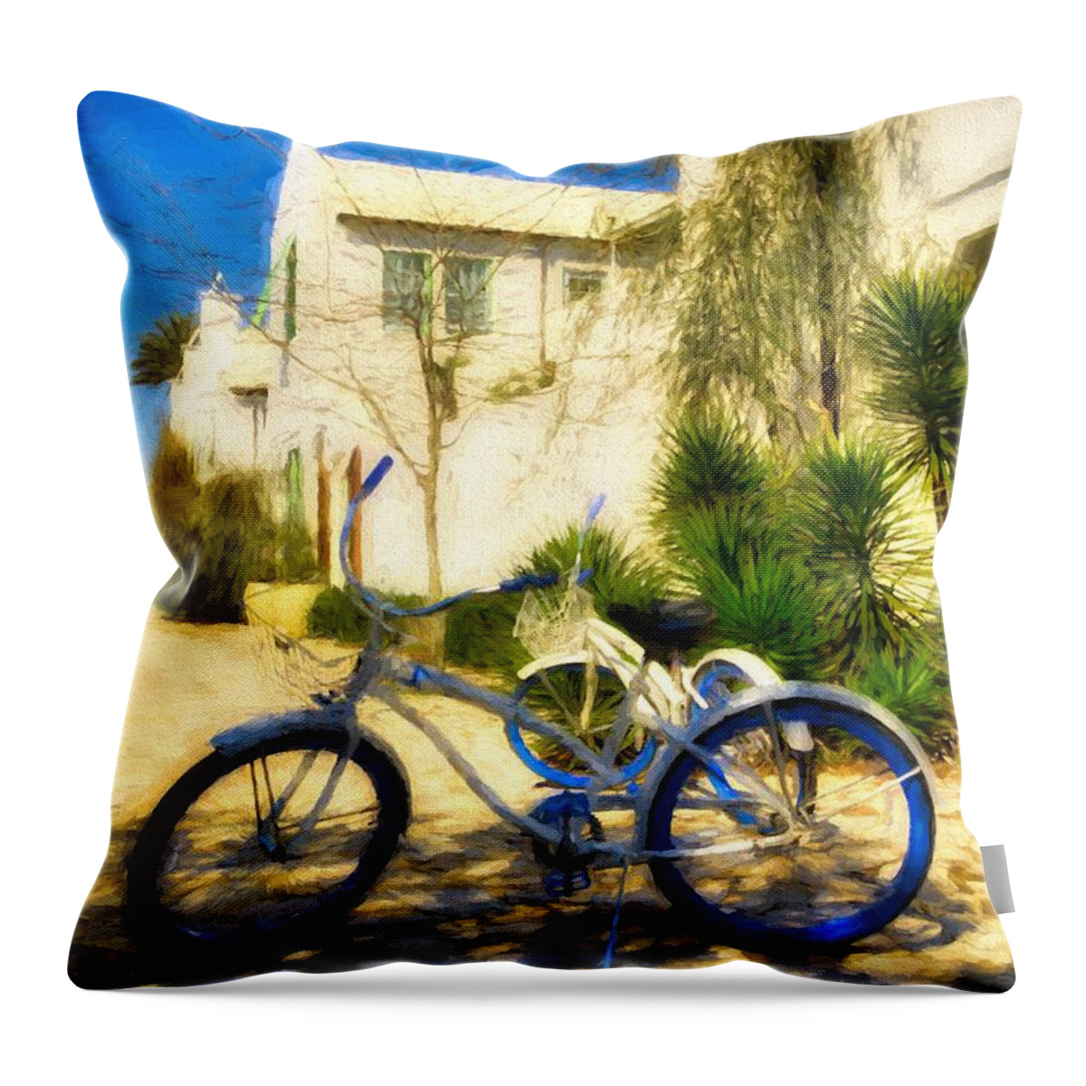 Scenes From Far And Near Throw Pillow featuring the photograph Florida Panhandle Peddler # 2 by Mel Steinhauer