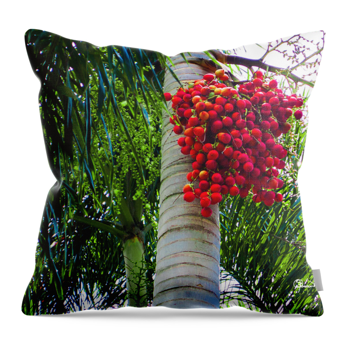Susan Molnar Throw Pillow featuring the photograph Florida Style Ornaments by Susan Molnar