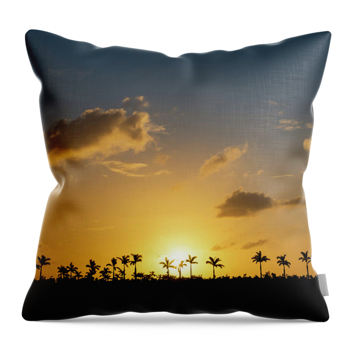 Florida Throw Pillow featuring the photograph Florida sunset by Framing Places