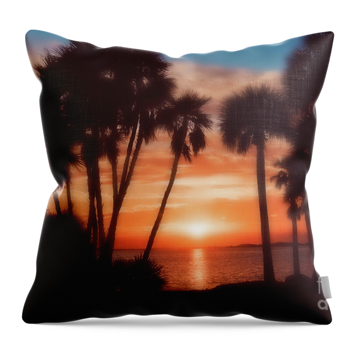 Florida Throw Pillow featuring the photograph Florida- Sunset Memories by Janie Johnson