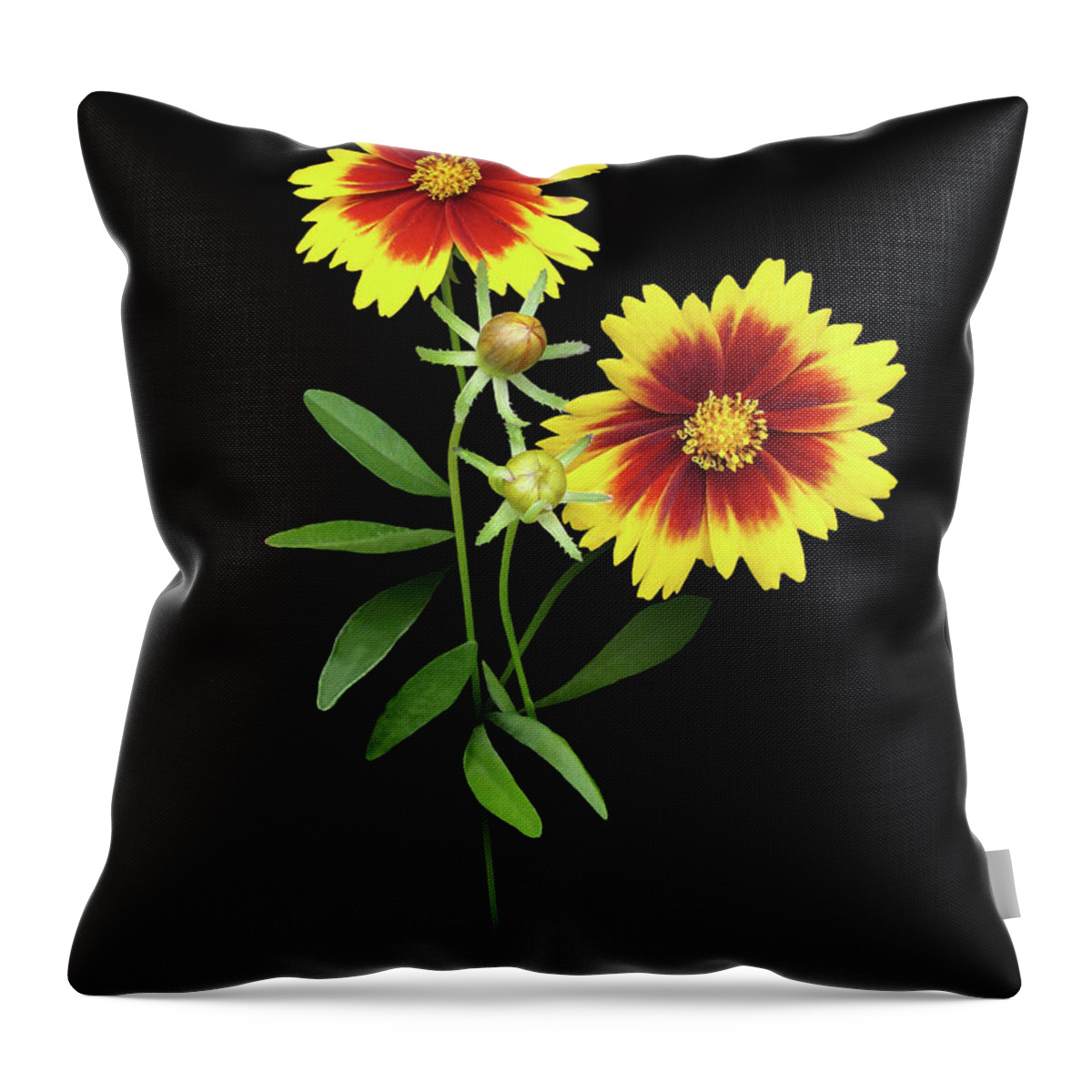 Wildflower Throw Pillow featuring the digital art Florida Wildflowers by M Spadecaller