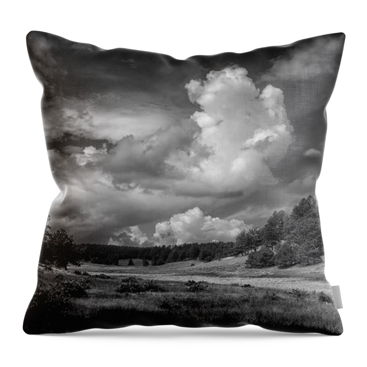 Florissant Throw Pillow featuring the photograph Florissant Fossil Bed NP Colorado BnW IMG_8508 by Greg Kluempers
