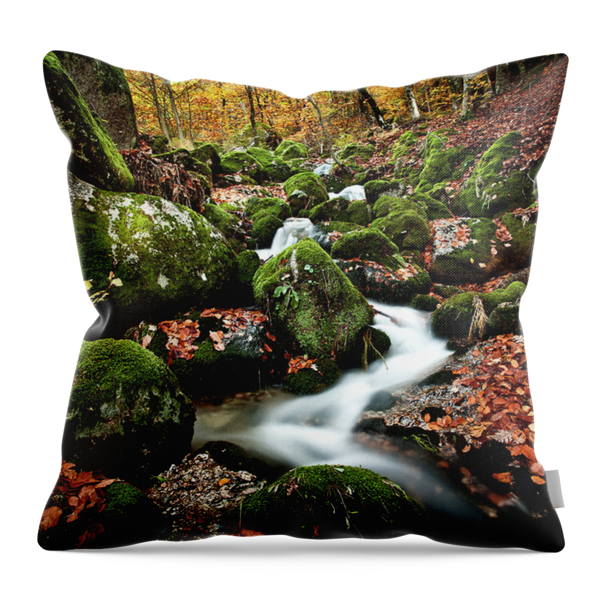 Jorgemaiaphotographer Throw Pillow featuring the photograph Flow by Jorge Maia