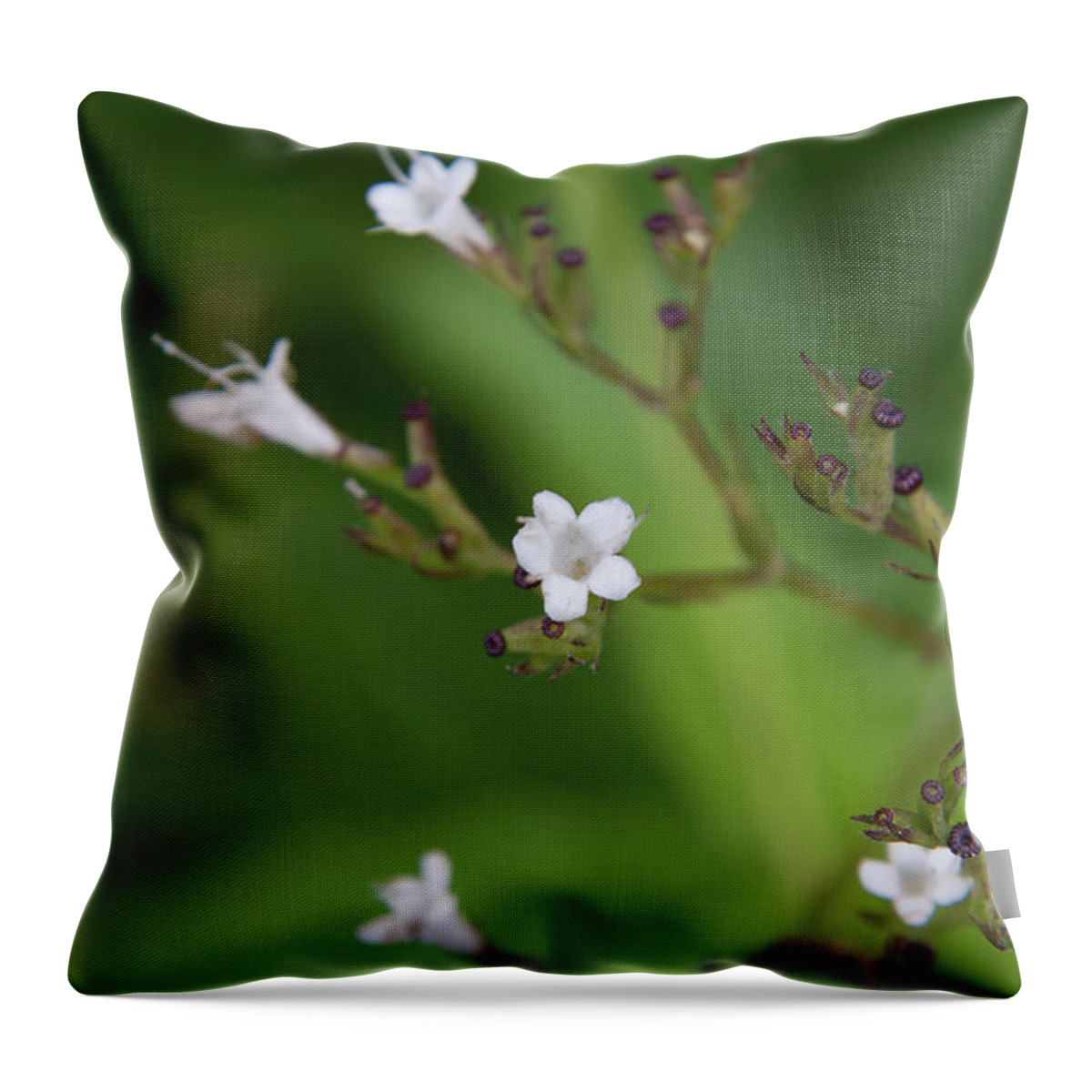 Nature Throw Pillow featuring the photograph Flower 1 by Mati Krimerman