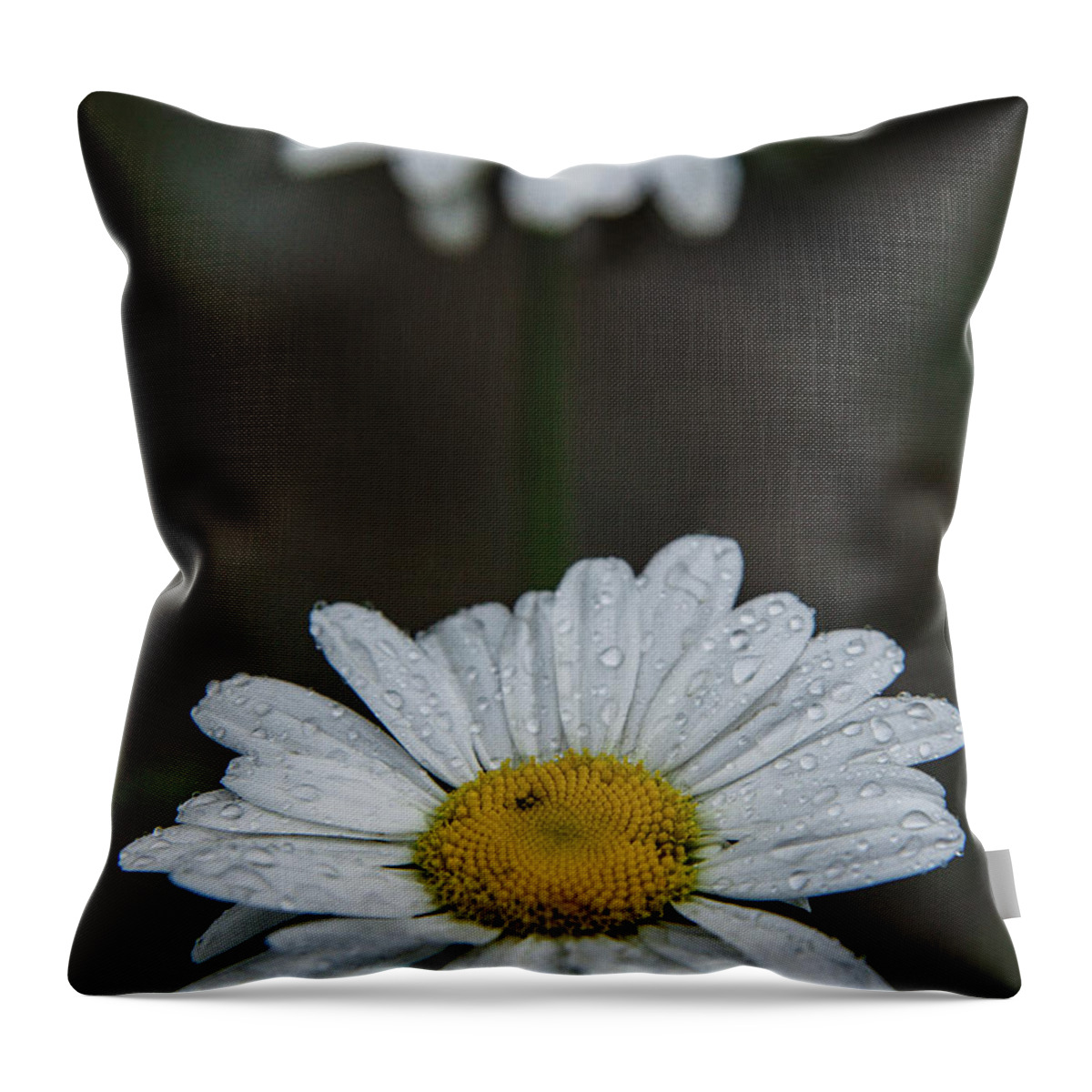 Nature Throw Pillow featuring the photograph Flower 2 by Mati Krimerman