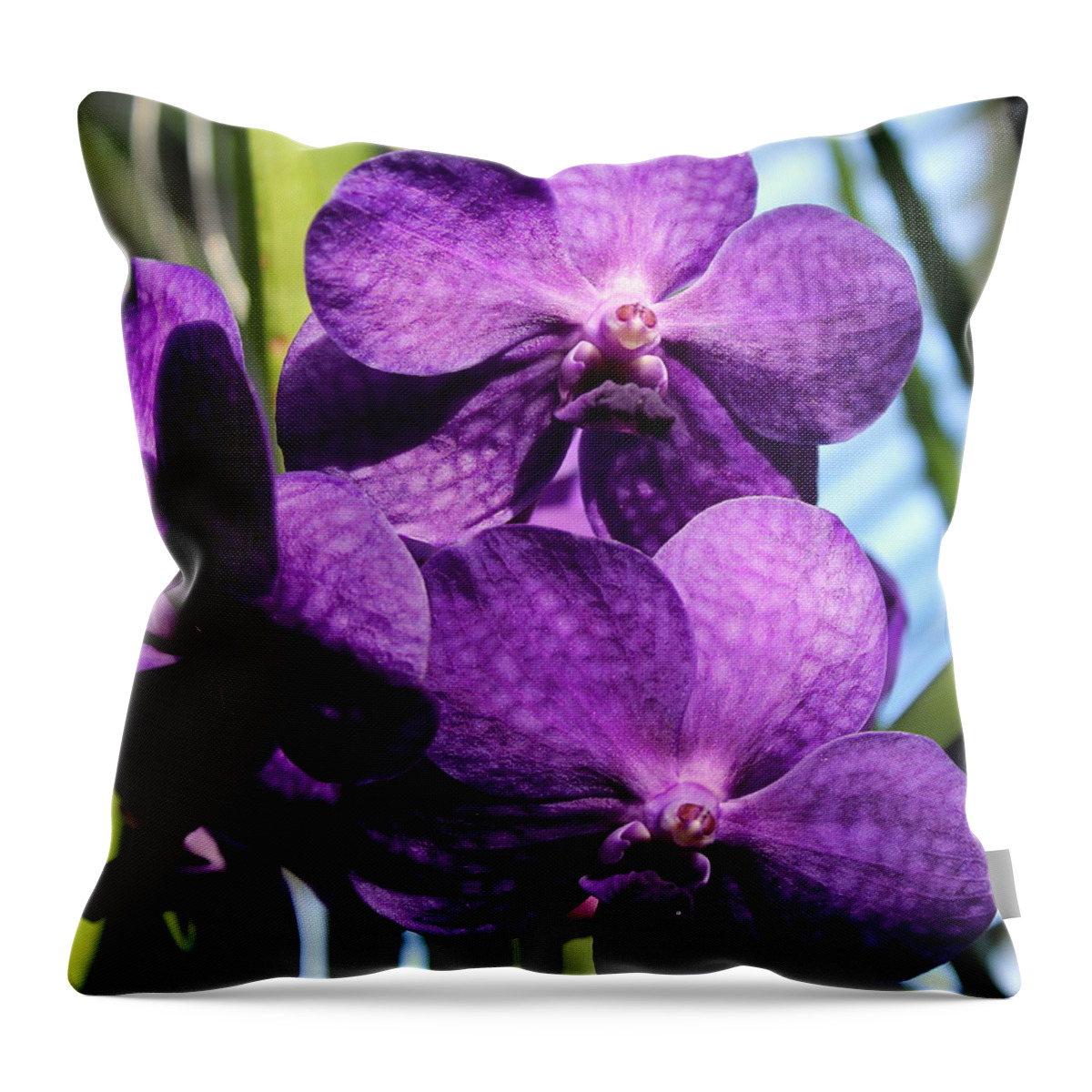 Flower Throw Pillow featuring the photograph Flower 3 by John Olson