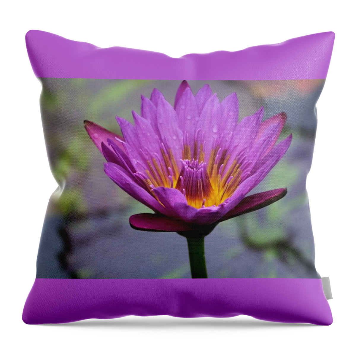 Nature Throw Pillow featuring the photograph Flower 5 by Lisa Spero