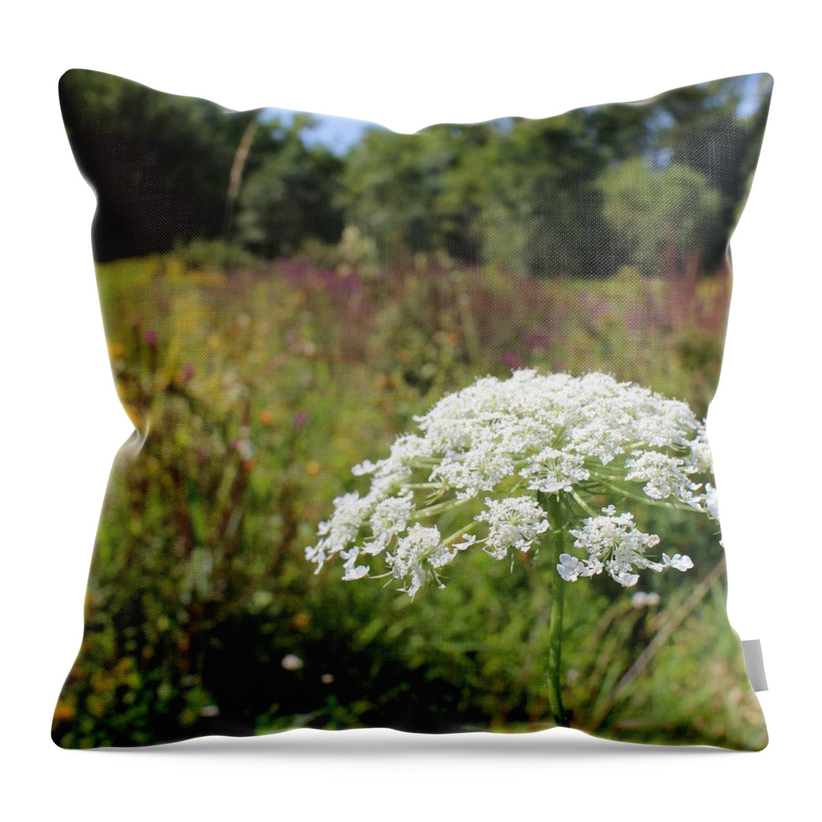 Flower Throw Pillow featuring the photograph Flower Along the Trail by Jason Nicholas