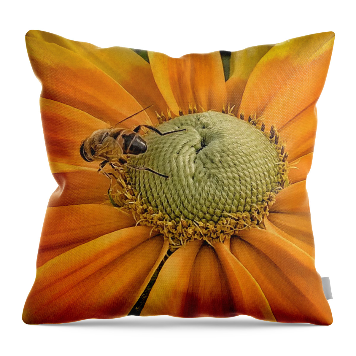 Bee Throw Pillow featuring the photograph Flower and Bee by Patricia Januszkiewicz