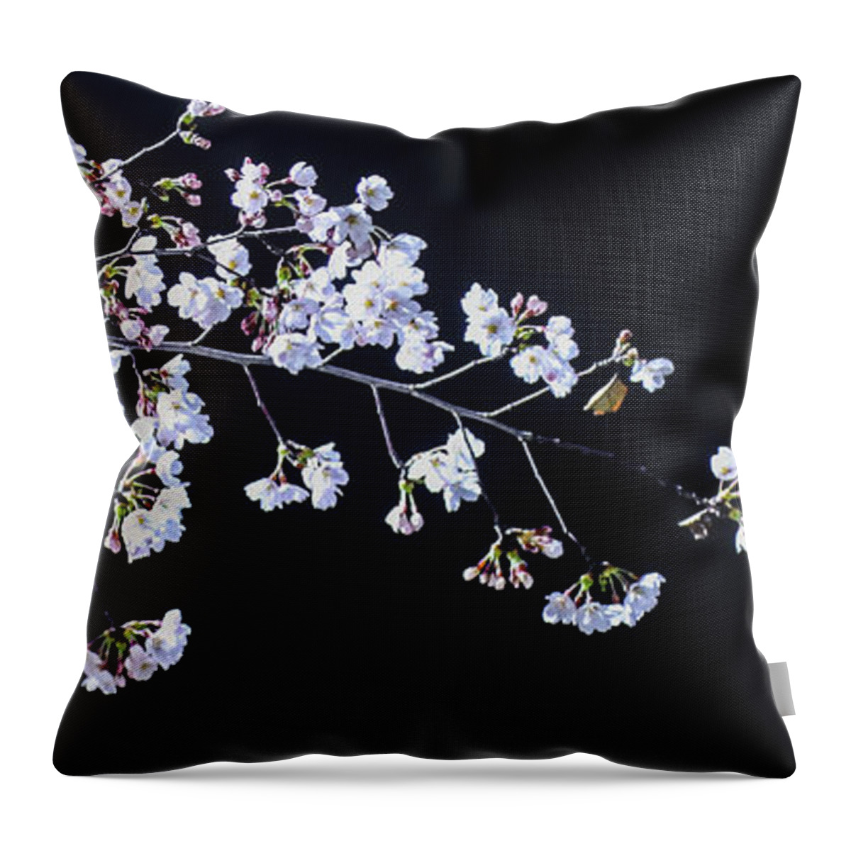 Cherry Blossom Throw Pillow featuring the photograph Flower At Night by Hyuntae Kim