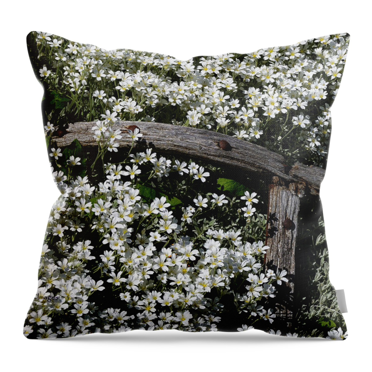 Flowers Throw Pillow featuring the photograph Flower Bed by Kae Cheatham