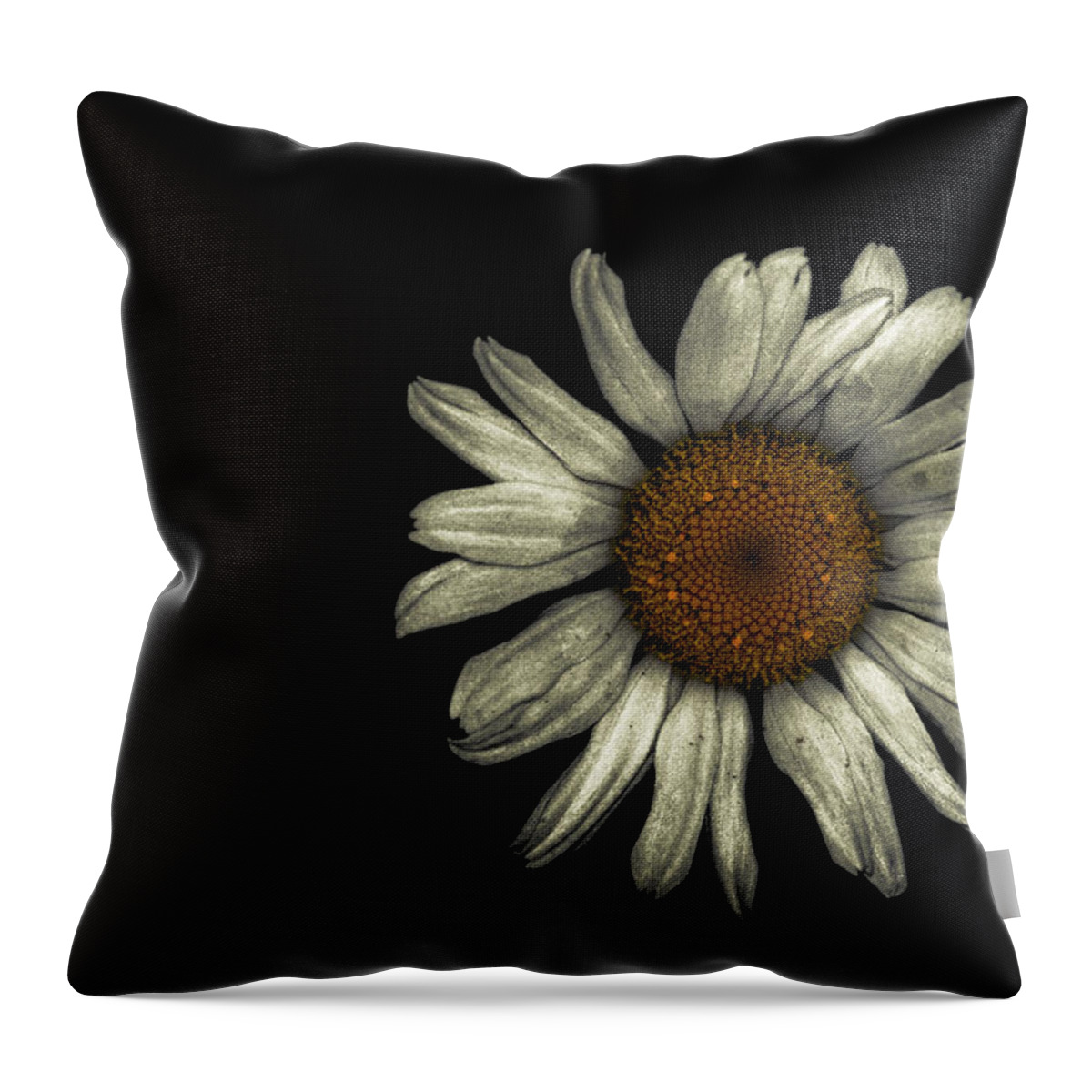 Flower Throw Pillow featuring the photograph Flower Black by Goutham Ganesh