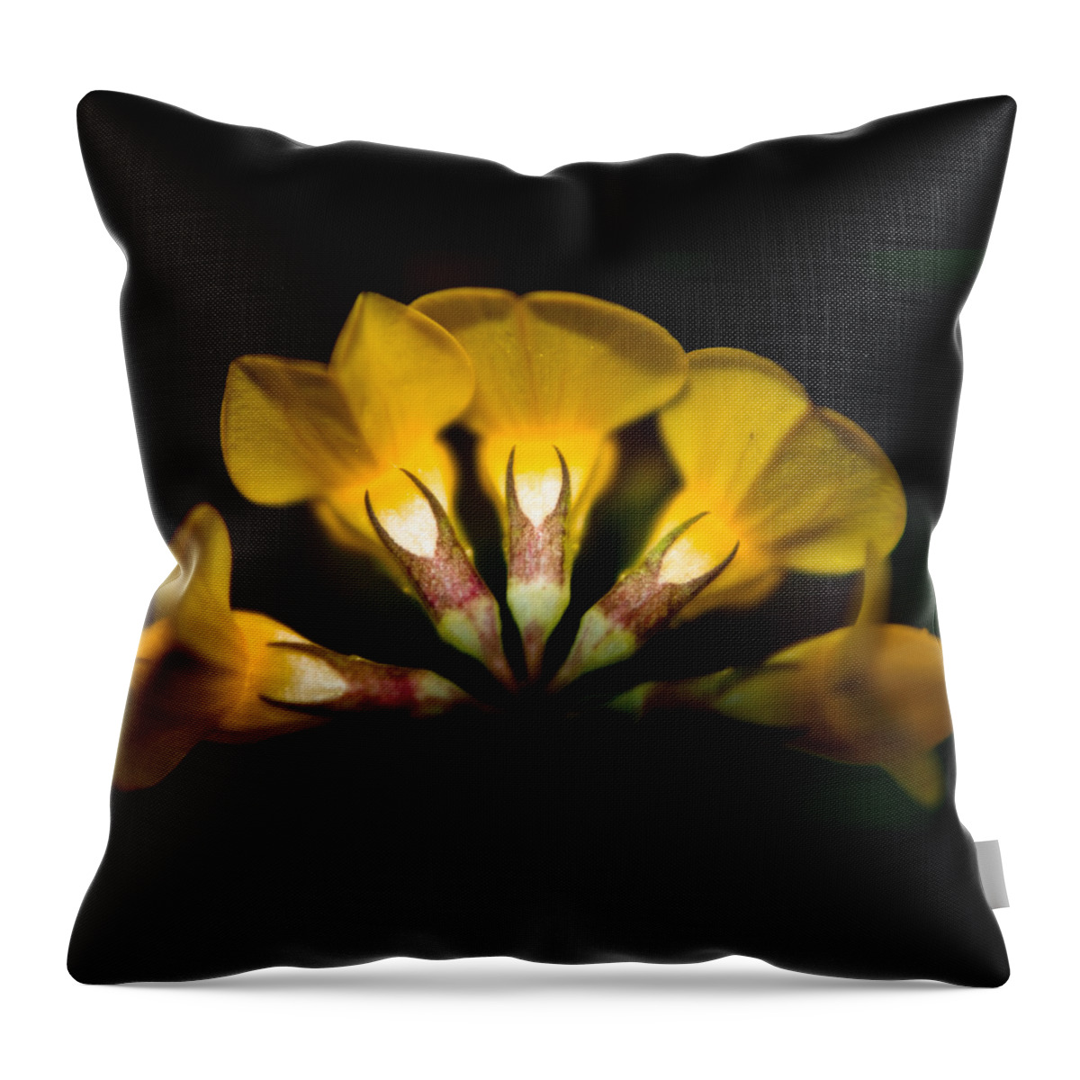 Adria Trail Throw Pillow featuring the photograph Flower Candelabra by Adria Trail