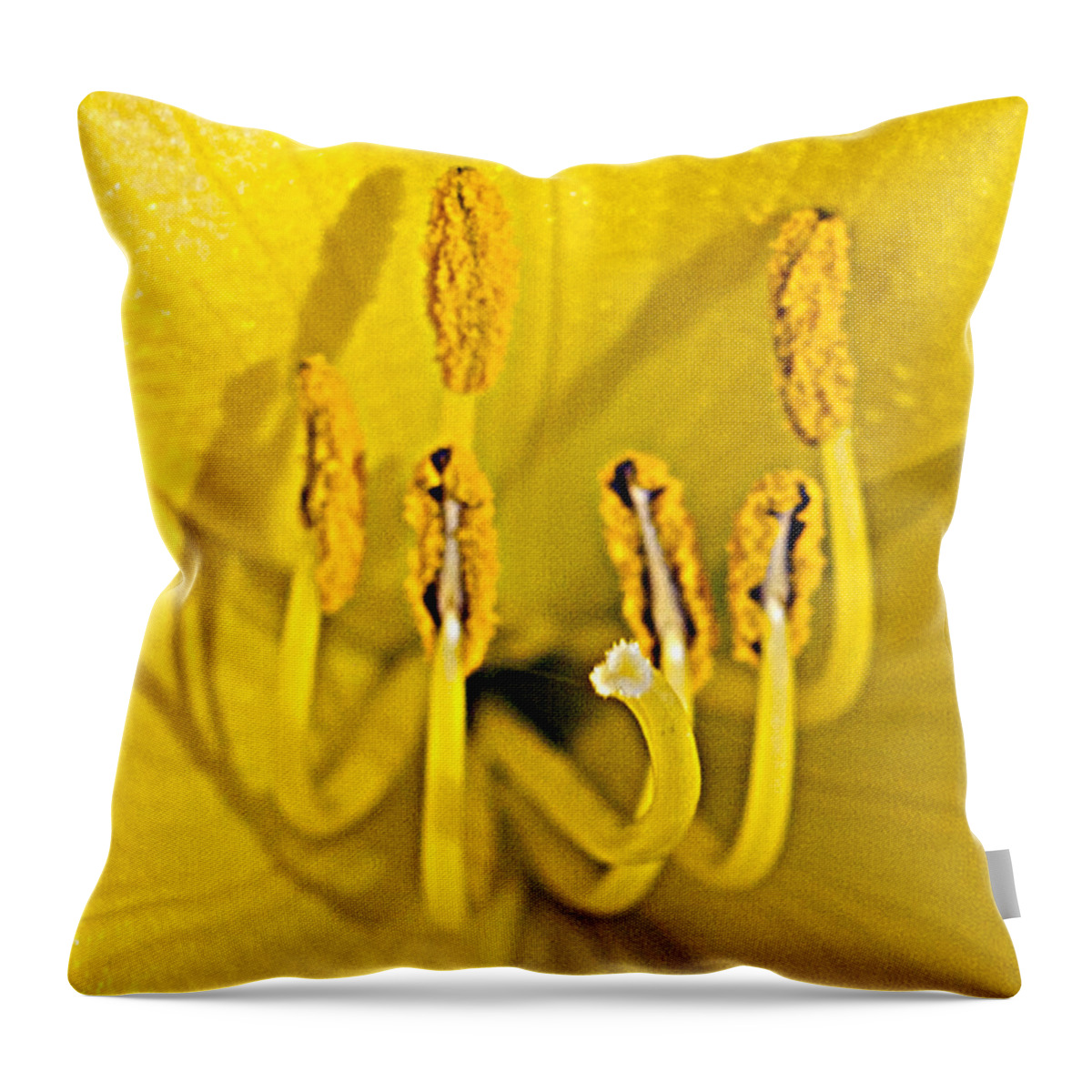 Flower Throw Pillow featuring the photograph Flower detail by Martin Valeriano