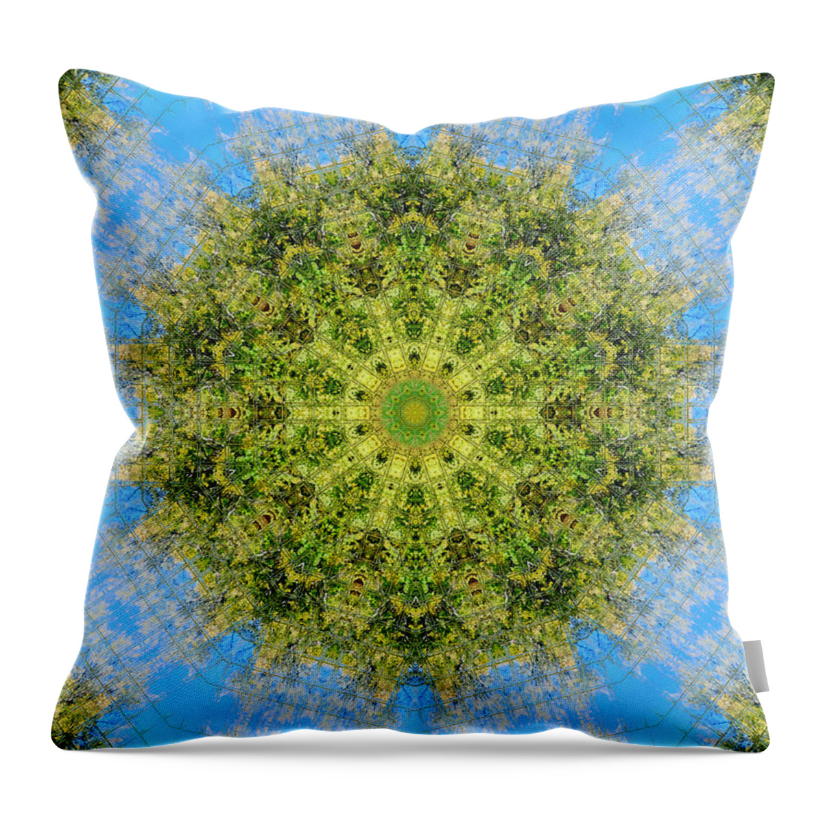 Flower Mandala Throw Pillow featuring the painting Flower mandala 35 by Jeelan Clark