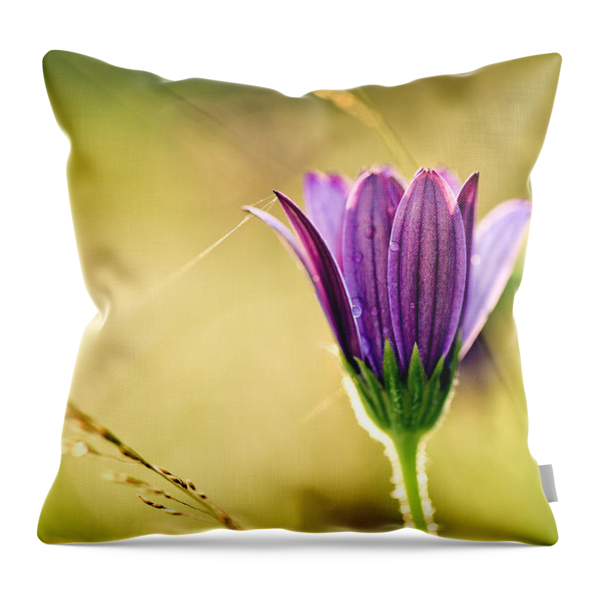 Flower Throw Pillow featuring the photograph Flower on Summer Meadow by Nailia Schwarz