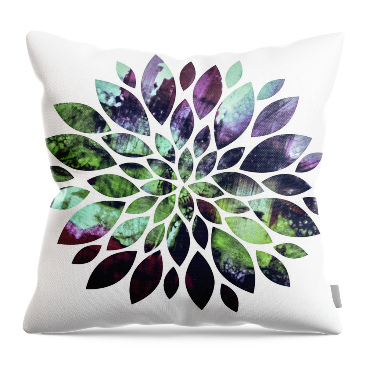 Floral Throw Pillow featuring the photograph Flower Painting by Andrea Anderegg