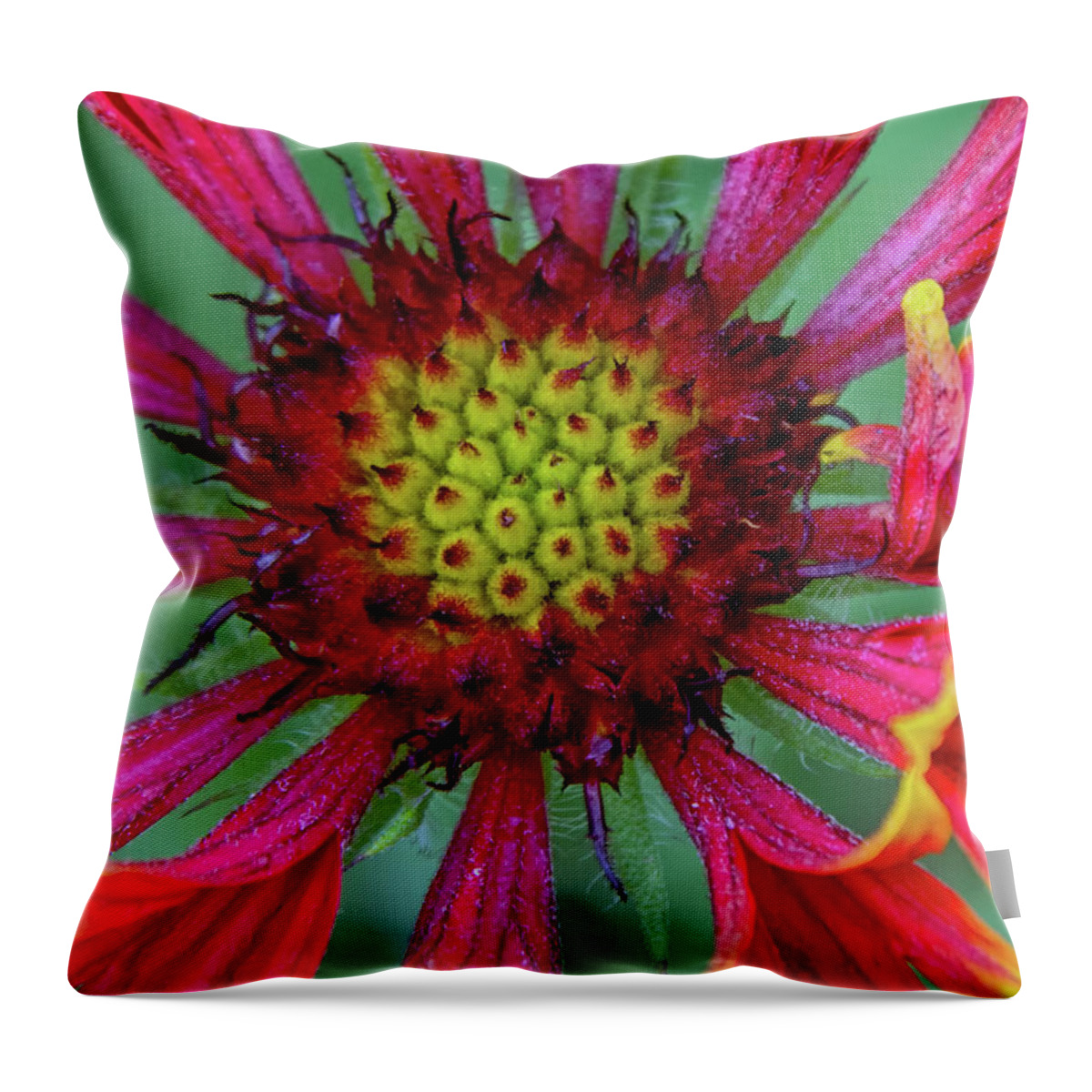 Flower Throw Pillow featuring the photograph Flower by Tam Ryan